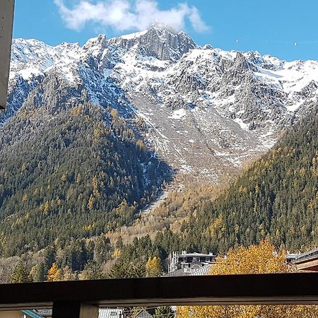 Ferienwohnung Vue Magique En Hypercentre Avec Parking Privatif Chamonix Exterior foto